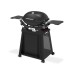 Weber Q2200N STAND PREMIUM plynový gril