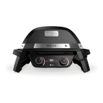 Weber PULSE 2000